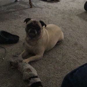 Meet your Posher, Vanessa